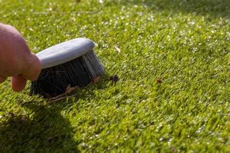 5 Mistakes To Avoid When Cleaning Artificial Grass Leaves