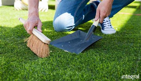 Artificial Grass Maintenance: The Role of Leaf Cleaning