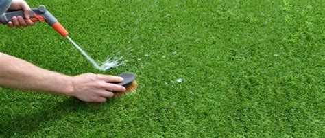 Bacteria And Mold: Cleaning Tips For Artificial Grass Leaves