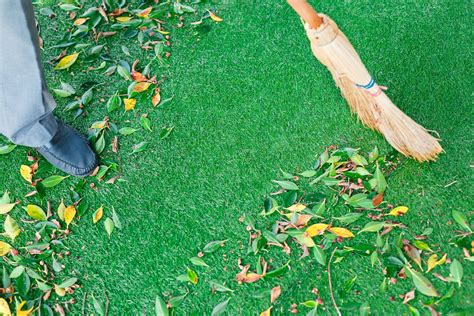 Cleaning Artificial Grass Leaves: Do's And Don'ts