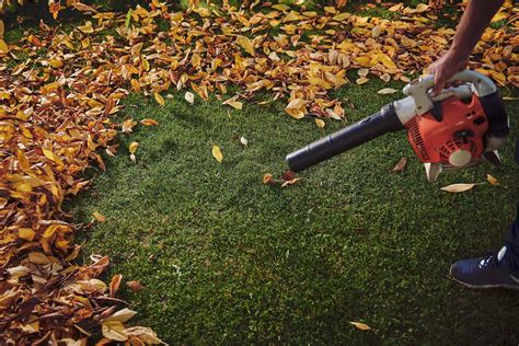 Cleaning Your Artificial Grass Leaves Before Hosting Events