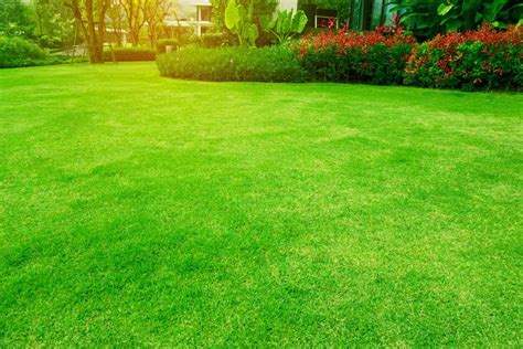 Common Mistakes To Avoid When Installing Artificial Grass