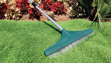 Eco-Friendly Products To Clean Artificial Grass