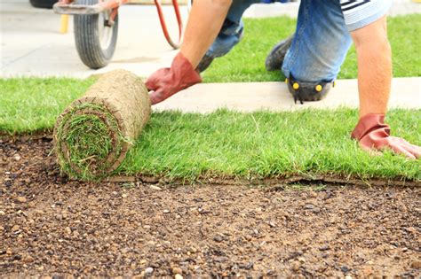 How To Choose The Best Time Of Year To Lay Artificial Turf