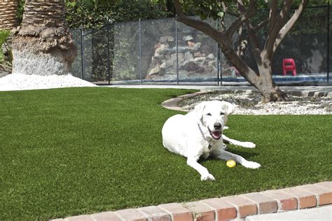 How To Ensure Your Children And Pets Are Safe With Artificial Turf