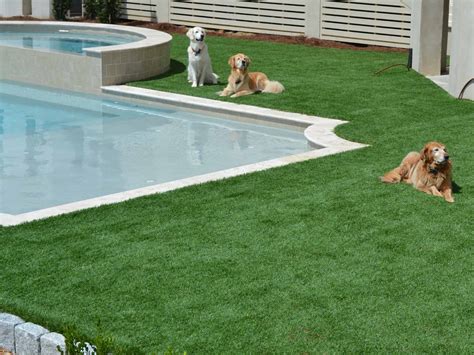 How To Install Artificial Grass In Dog Areas