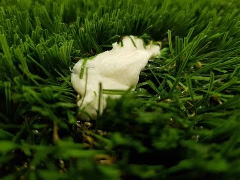 How To Remove Gum From Artificial Grass