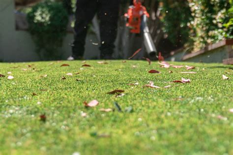 Tips For Cleaning Artificial Grass Around Trees